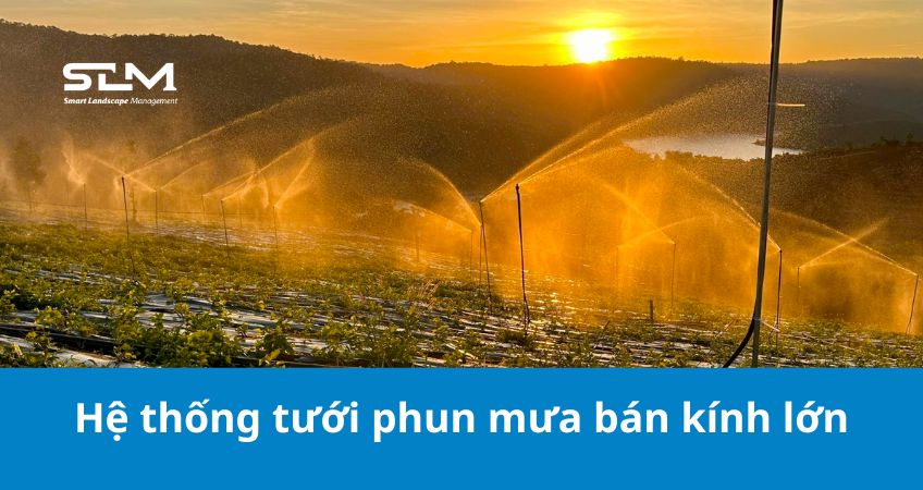 Hệ thống tưới phun mưa bán kính lớn cho cây có nhu cầu nước cao