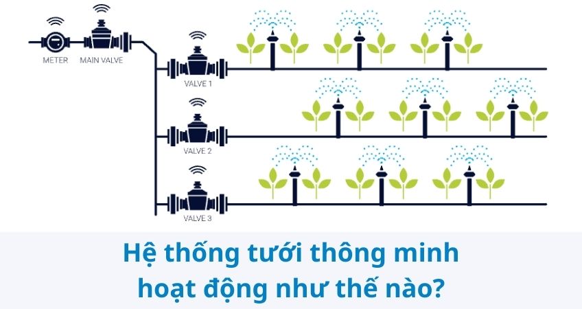 Hệ thống tưới thông minh hoạt động như thế nào?